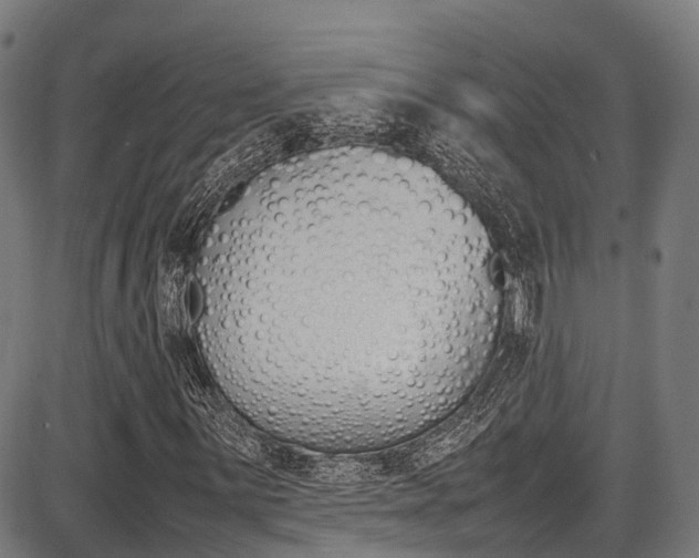 X0000087051059200704180956