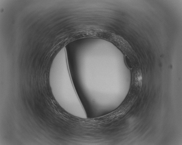X0000087051060200704180956
