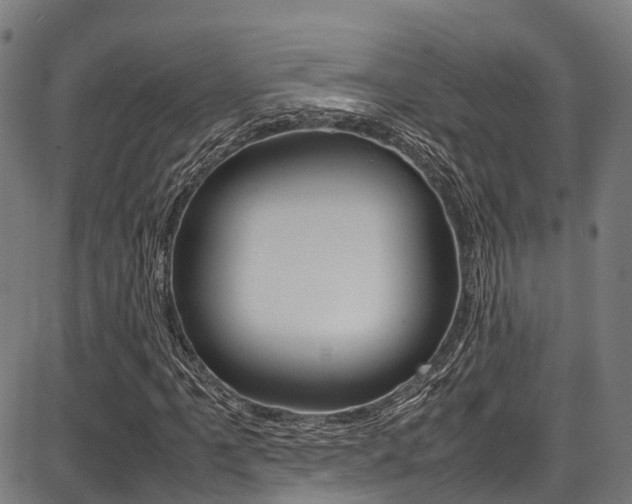 X0000087051061200704180956