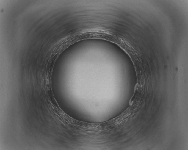 X0000087051062200704180956