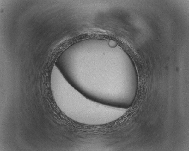 X0000087051063200704180956