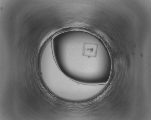 X0000087051069200704180956