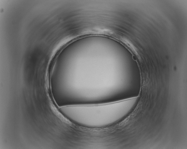 X0000087051080200704180956