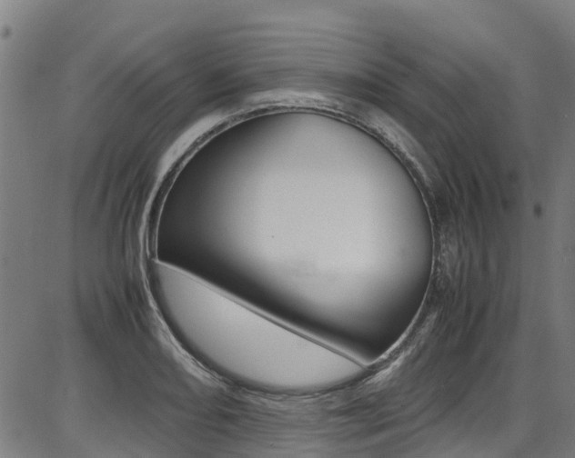 X0000087051082200704180956