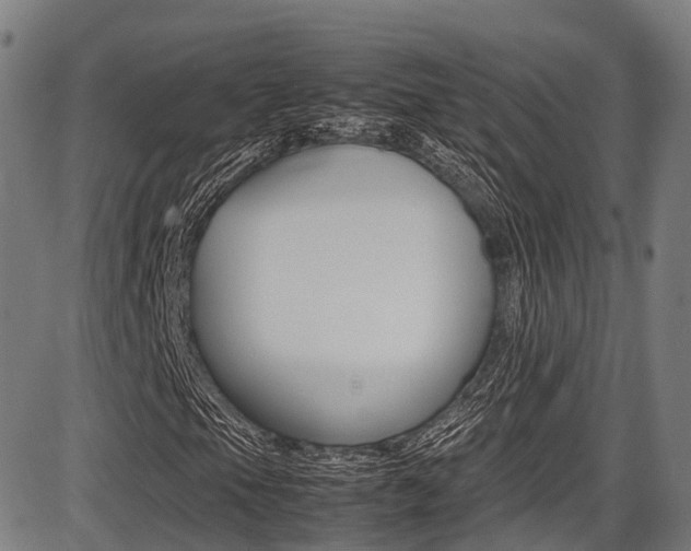 X0000087051105200704180955