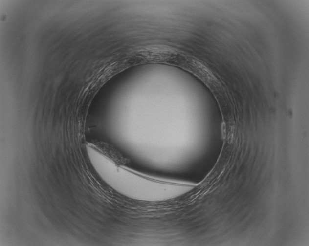 X0000087051108200704180955