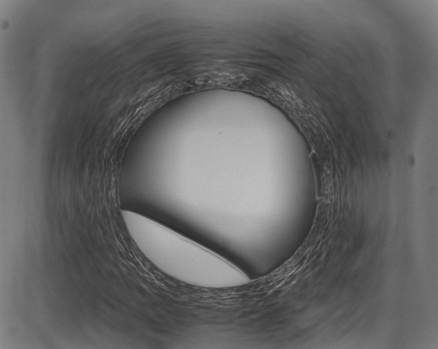 X0000087051109200704180955