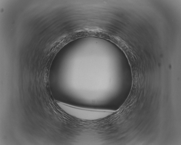 X0000087051110200704180955