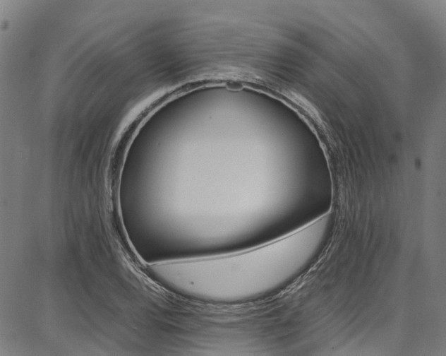 X0000087051120200704180955