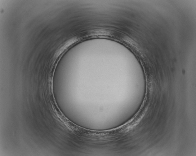 X0000087051121200704180955