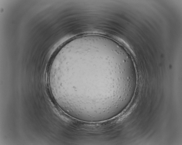 X0000087051125200704180955