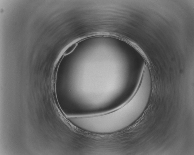 X0000087051148200704180956