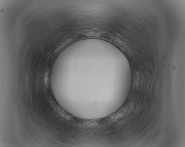 X0000087051154200704180955