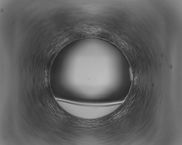 X0000087051156200704180955