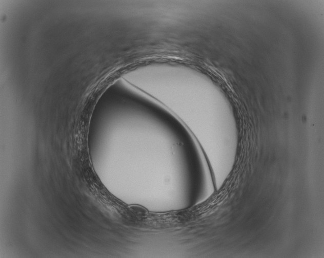 X0000087051159200704180955