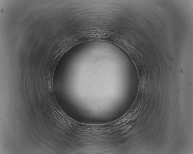 X0000087051202200704180953