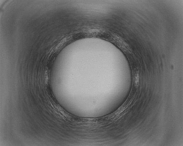 X0000087051204200704180953