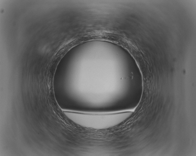 X0000087051206200704180953