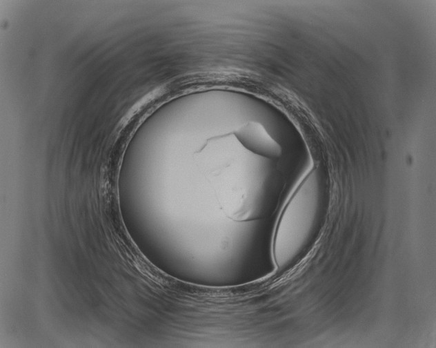 X0000087051210200704180954