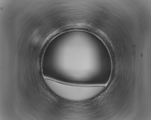 X0000087051218200704180954