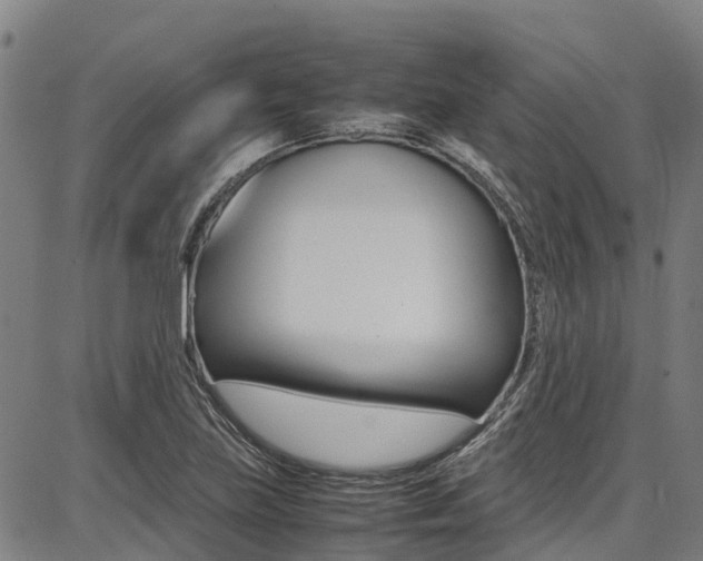 X0000087051219200704180954