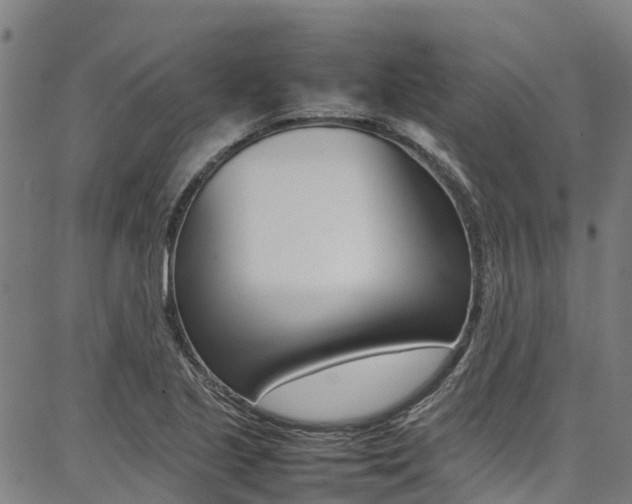 X0000087051221200704180954