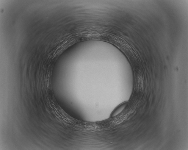 X0000087051250200704180953