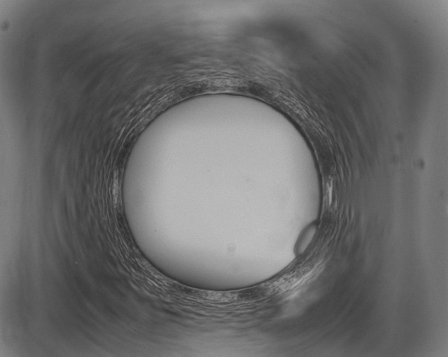 X0000087051251200704180953
