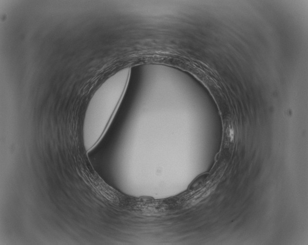 X0000087051252200704180953