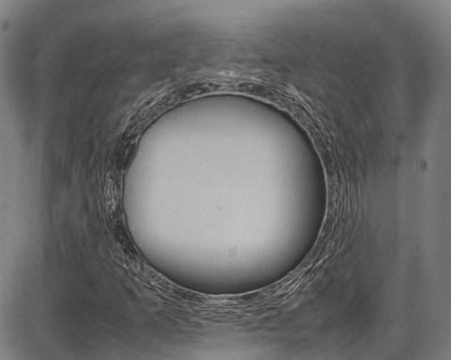 X0000087051253200704180953