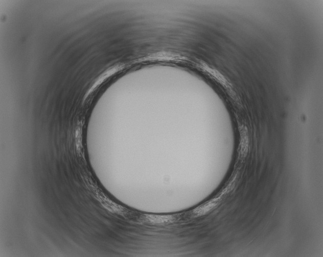 X0000087051258200704180953
