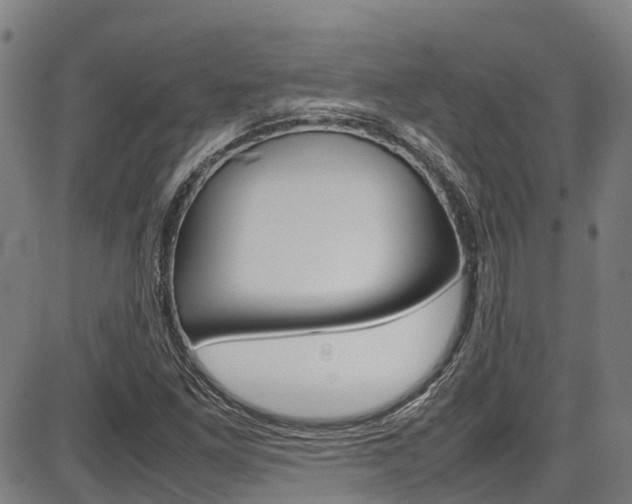 X0000087051261200704180953