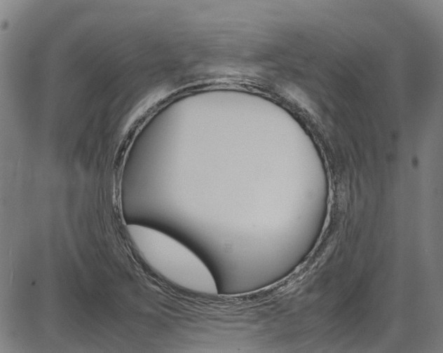 X0000087051267200704180953