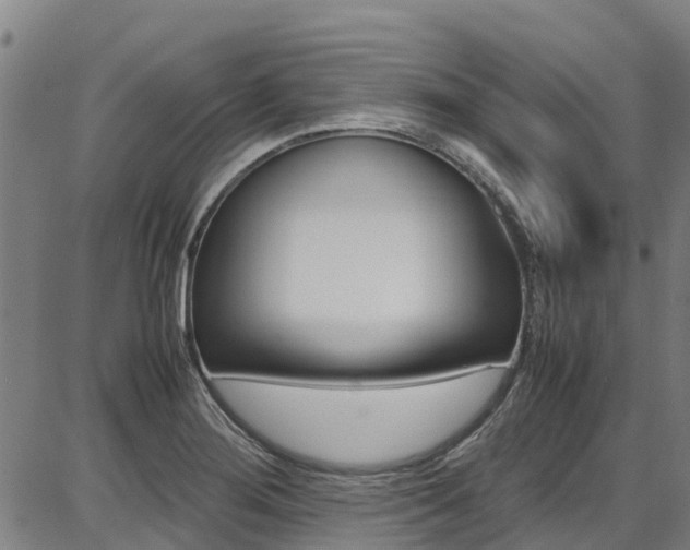 X0000087051276200704180953
