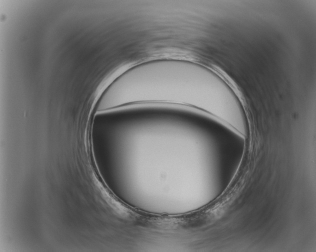 X0000087051293200704180953