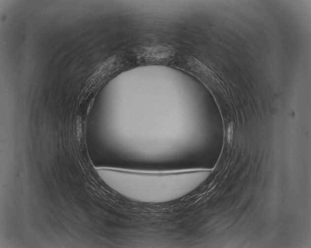 X0000087051299200704180952