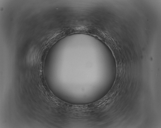 X0000087051301200704180952