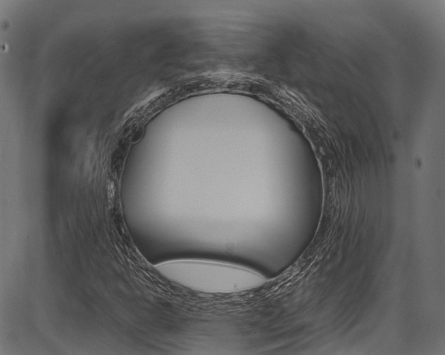 X0000087051302200704180952