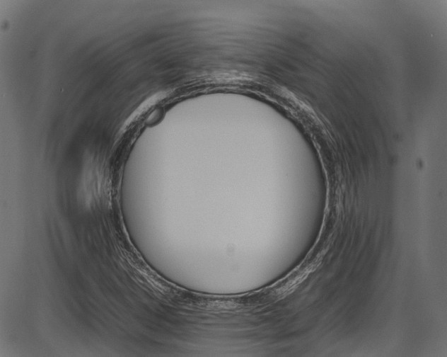 X0000087051306200704180952