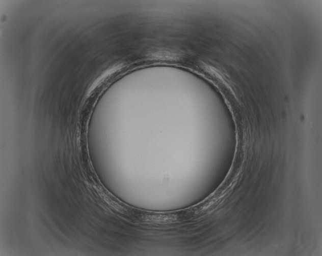 X0000087051307200704180952