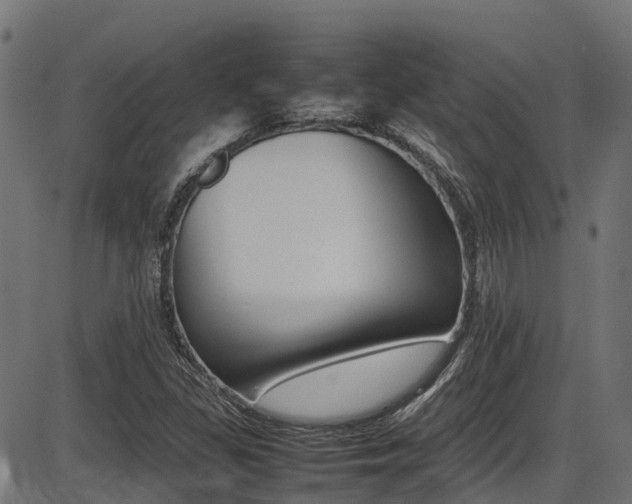 X0000087051309200704180952