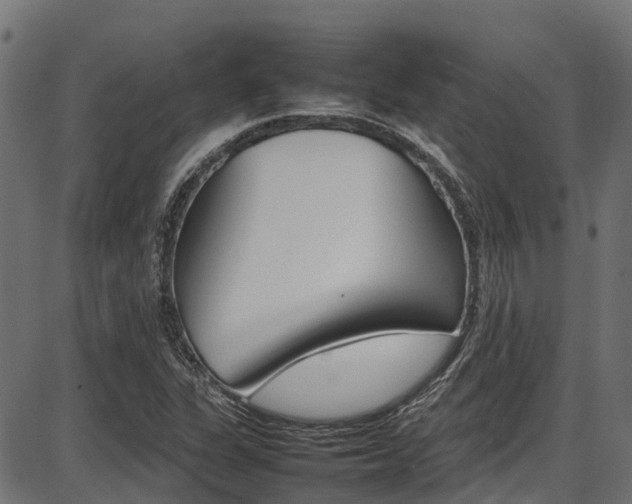 X0000087051311200704180952