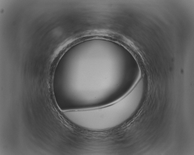 X0000087051312200704180952