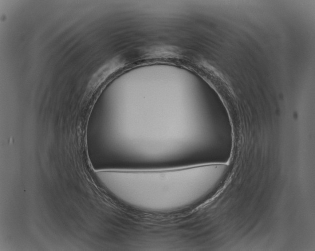 X0000087051313200704180952