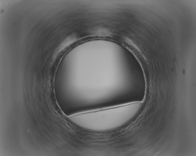 X0000087051315200704180952