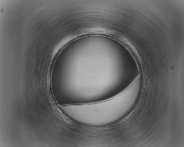 X0000087051328200704180952