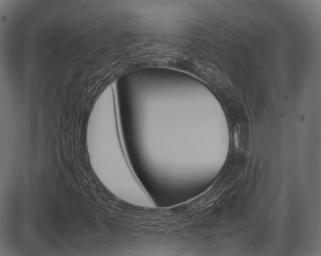 X0000087051347200704180952