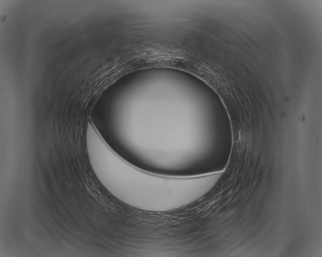 X0000087051348200704180952
