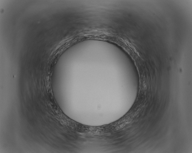 X0000087051350200704180952