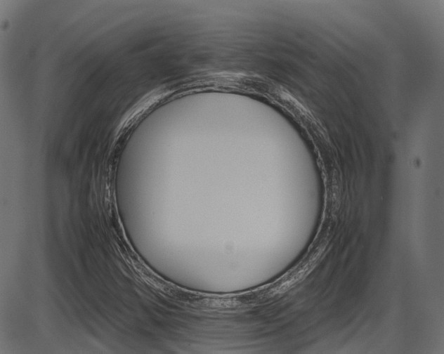 X0000087051354200704180952